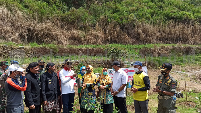 Ribuan Vegetatif Produktif Ditanam di Lereng Gunung Sipandu