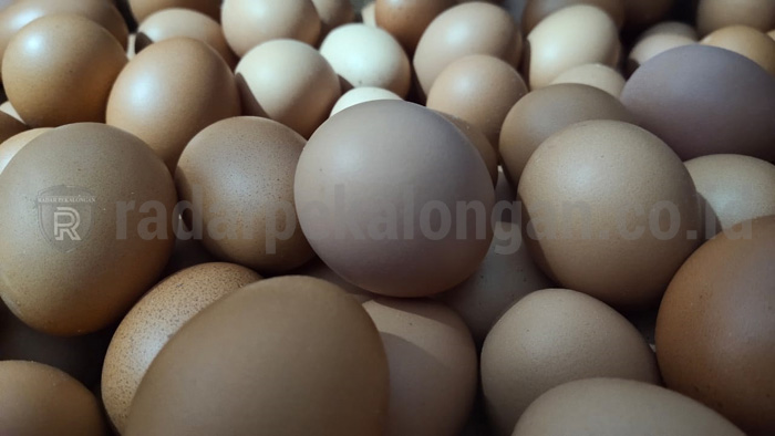Harga Telur Turun, Cabai Masih Tinggi
