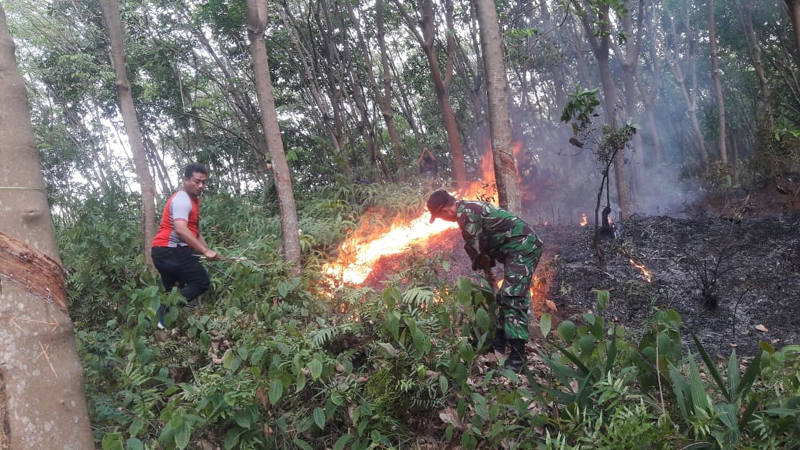 Lagi,  Hutan Karet PTPN Terbakar